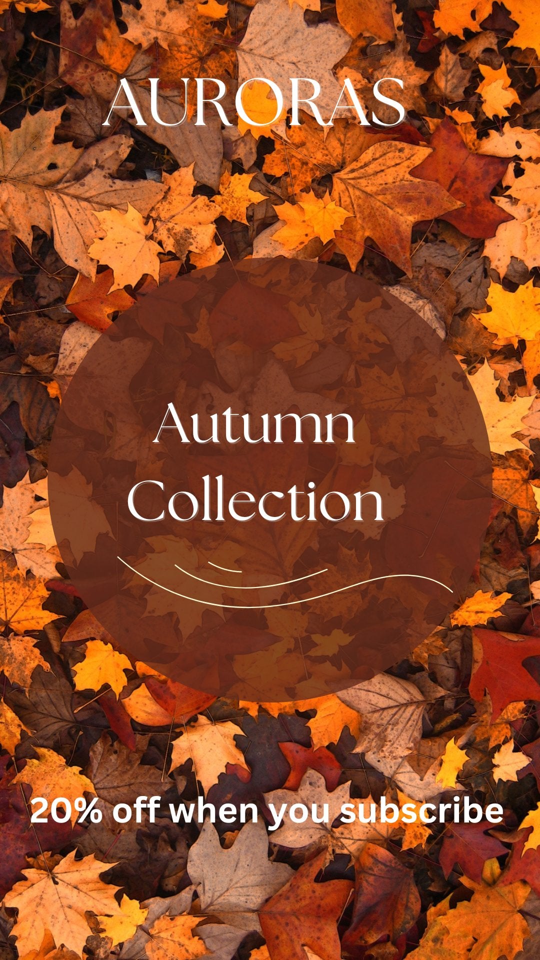 Autumn - Winter 23 Collection